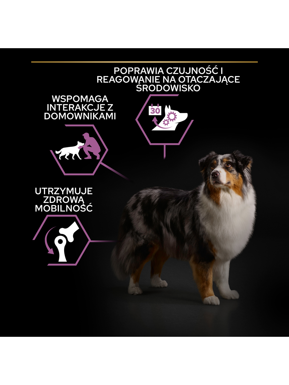 Purina Pro Plan Medium & Large Adult 7+ Optiage 14kg  niespodzianka dla psa GRATIS!