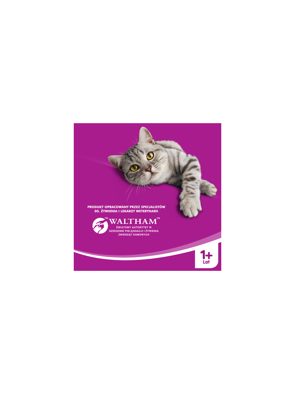 WHISKAS Adult 12,5 kg - sucha karma dla dorosłego kota, z pyszną wołowiną/ Opakowanie uszkodzone (9582)!!!