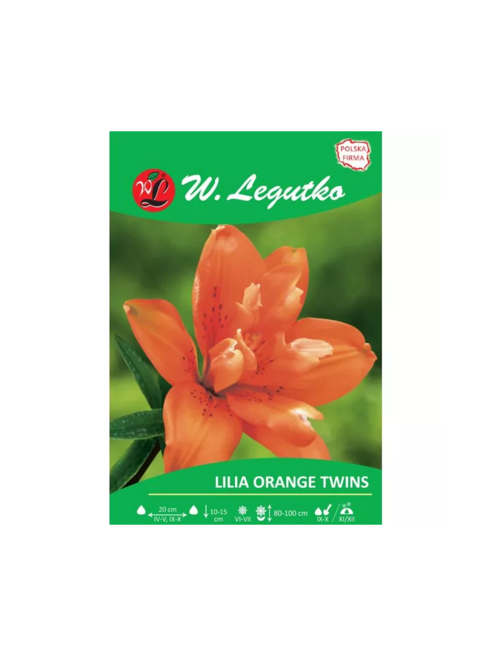 Lilia Orange twins pomarańczowa 1szt.