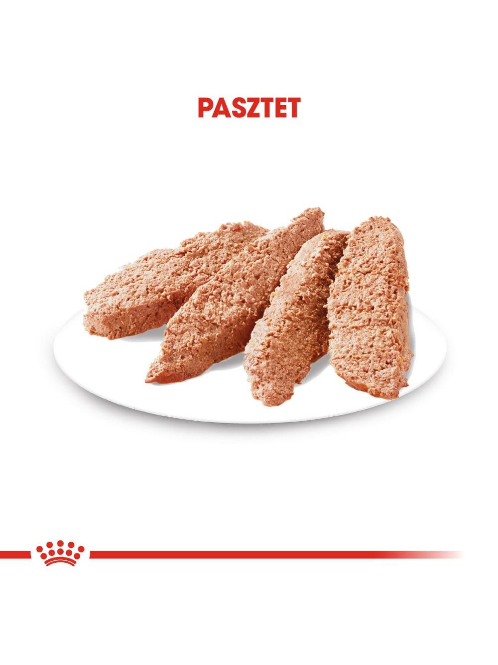 ROYAL CANIN CCN Digestive Care 12x85g karma mokra - pasztet dla psów dorosłych o wrażliwym przewodzie pokarmowym