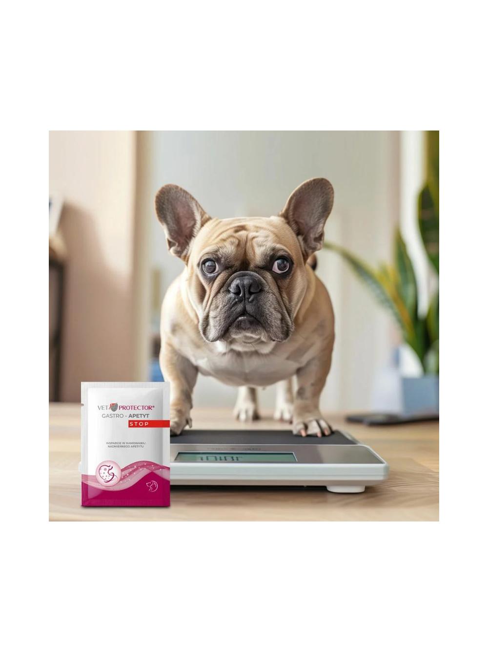 VET PROTECTOR® GASTRO – APETYT STOP – hamowanie nadmiernego apetytu, zwiększenie uczucia sytości dla psa i kota 3,5 g