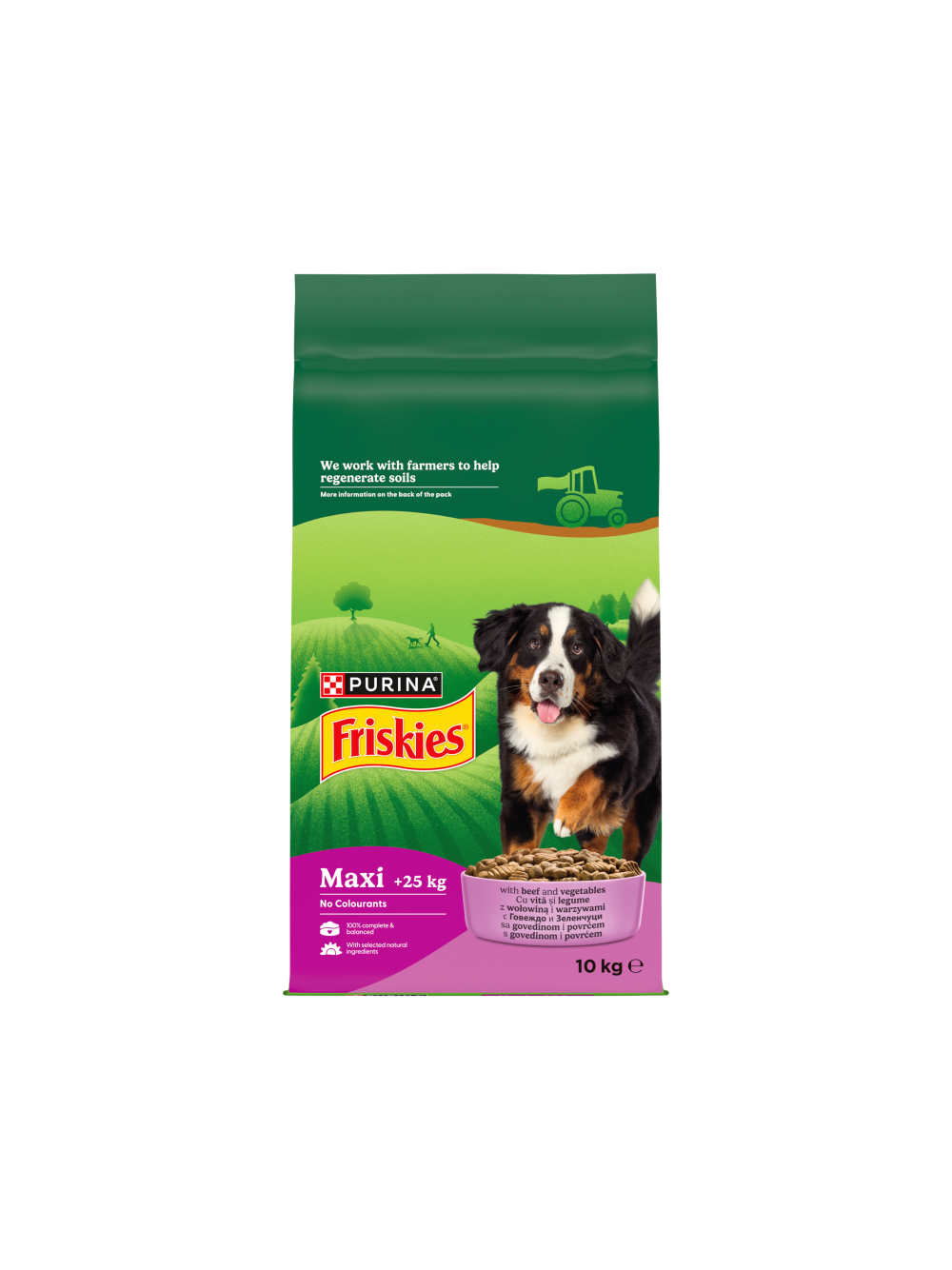 Friskies Maxi Karma dla dorosłych psów z wołowiną i warzywami 10 kg