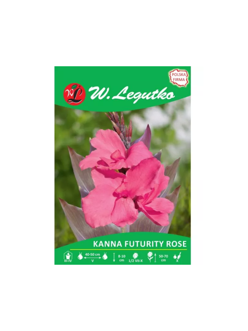Kanna Futurity Rose różowa 1szt.