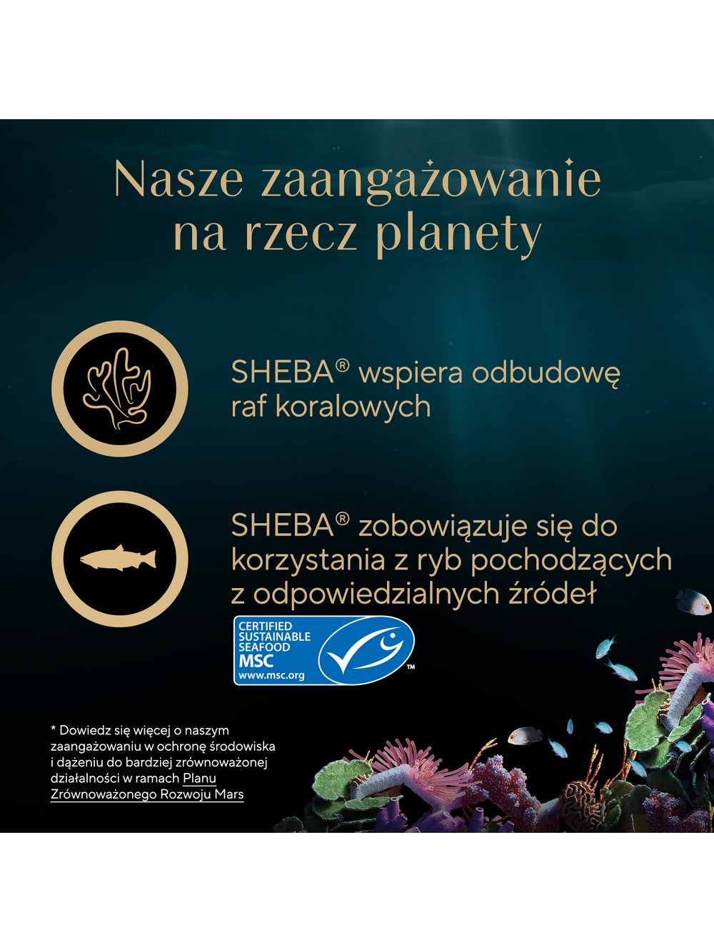 SHEBA Filets z kurczakiem, rybami oceanicznymi i krewetkami w sosie, tacka 60g