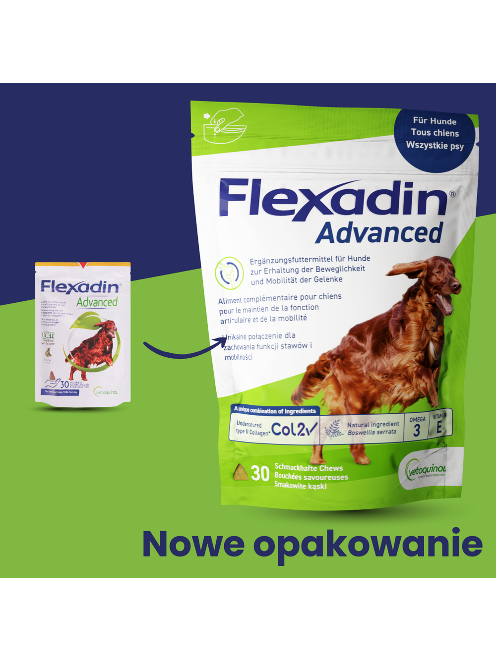 VETOQUINOL Flexadin Advanced Dietetyczna Karma Uzupełniająca Dla Psów  90g (30 kąsków)