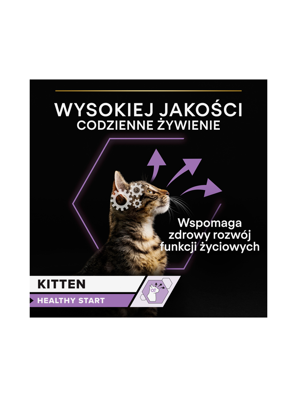PRO PLAN Kitten Mus z Kurczakiem Mokra karma dla kociąt 24x85g