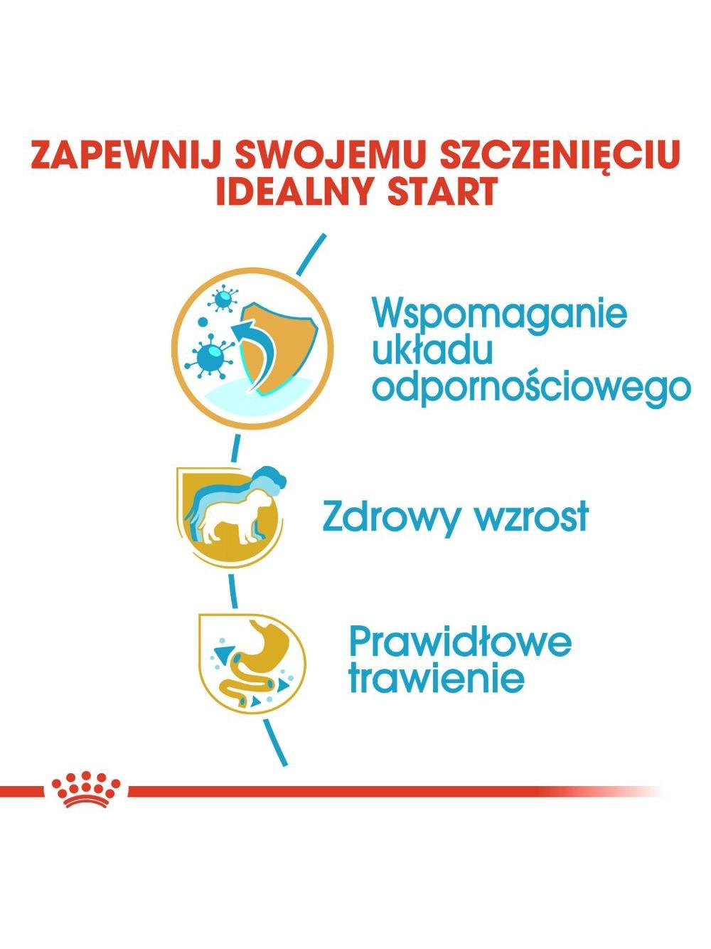 ROYAL CANIN Jack Russell Terrier Puppy 3kg karma sucha dla szczeniąt do 10 miesiąca, rasy jack russel terrier