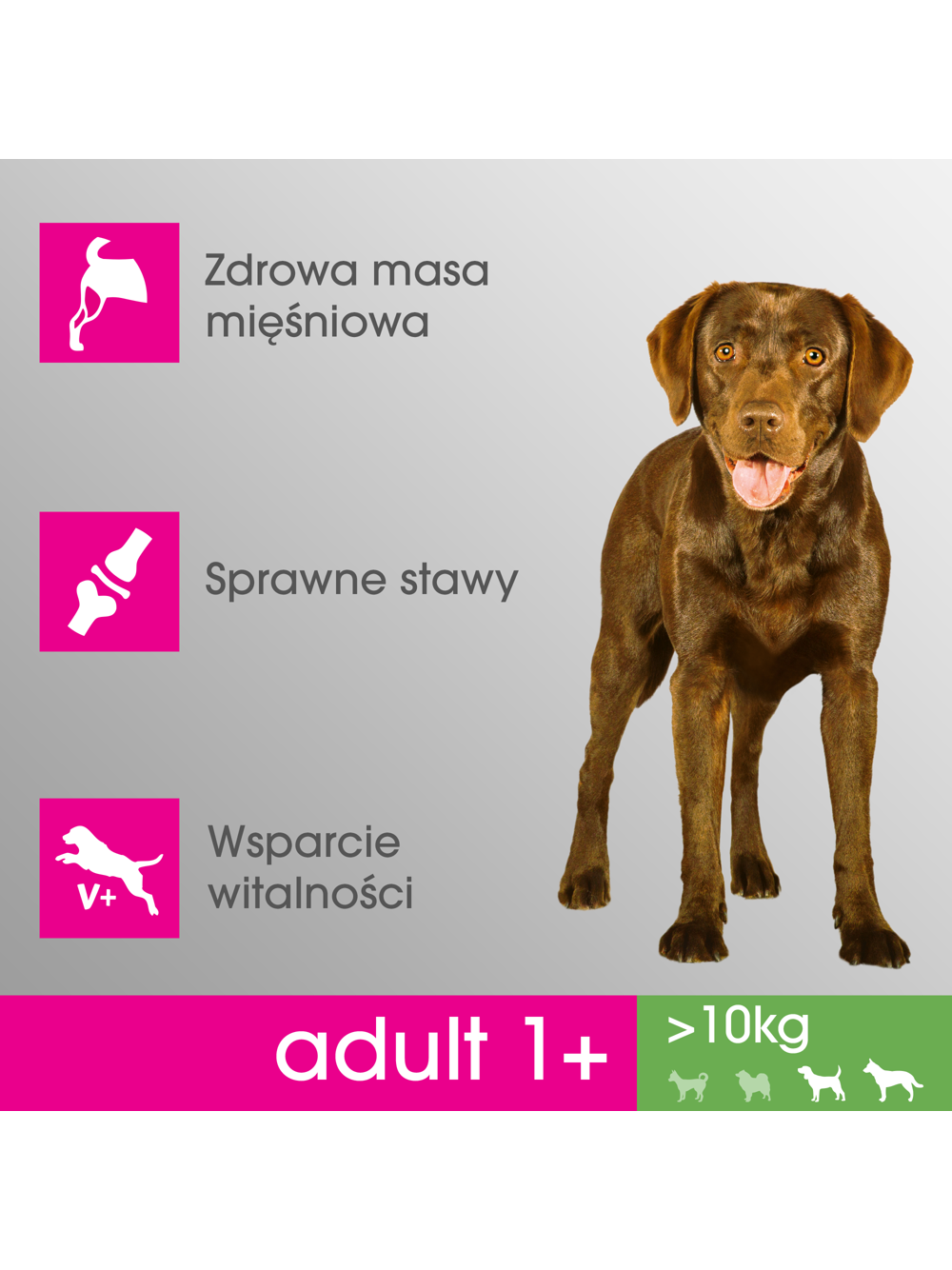 PERFECT FIT (Adult 1+) 4x825g Bogaty w kurczaka - sucha karma dla psa średniej i dużej rasy