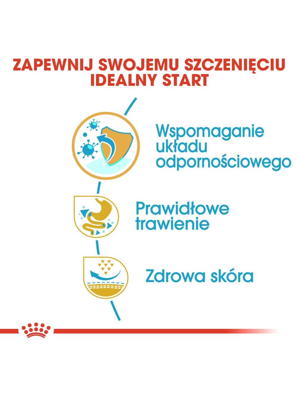 ROYAL CANIN French Bulldog Puppy 10kg karma sucha dla szczeniąt do 12 miesiąca, rasy bulldog francuski/Opakowanie uszkodzone (5252)