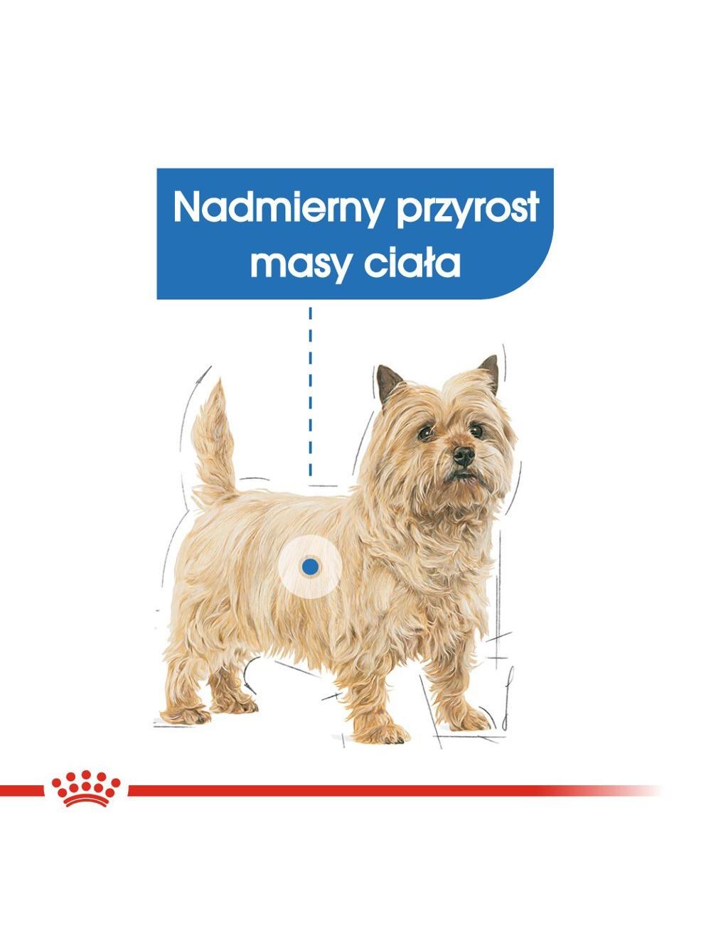 ROYAL CANIN CCN Mini Light Weight Care 8kg + niespodzianka dla psa GRATIS!