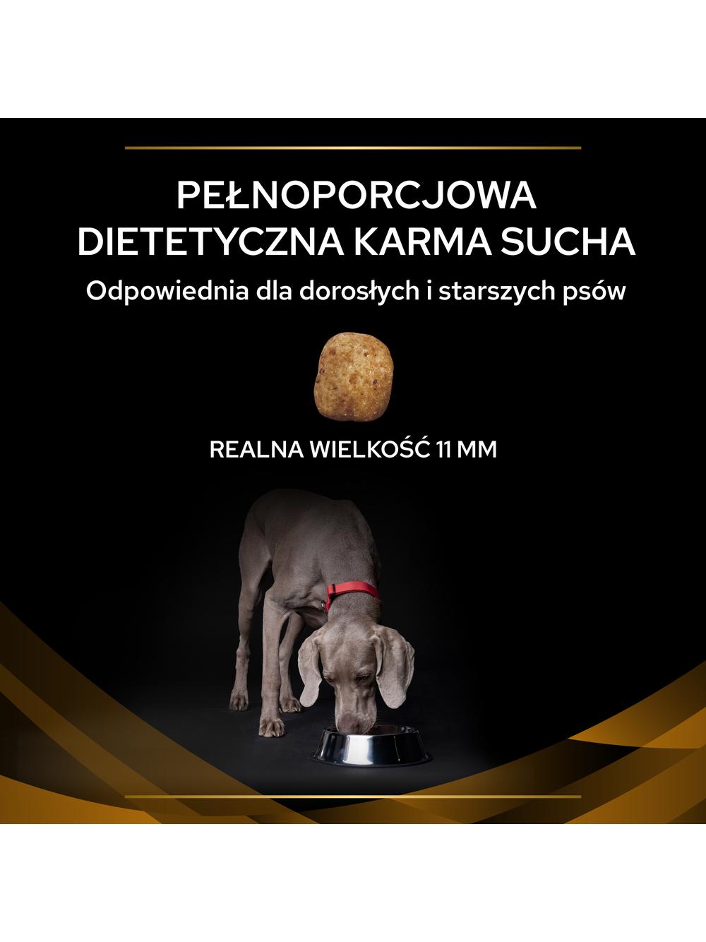 PRO PLAN Veterinary Diets NF Renal Function Karma sucha dla psa 3kg