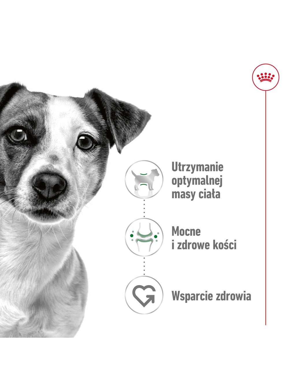 ROYAL CANIN Mini Adult 800g karma sucha dla psów dorosłych, ras małych + niespodzianka dla psa GRATIS