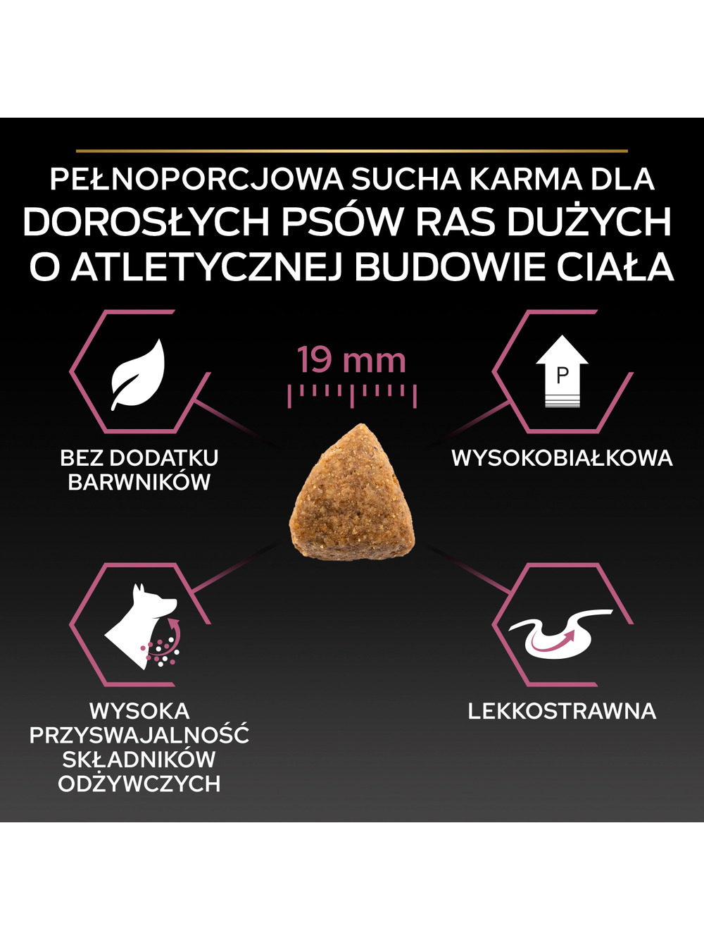 PRO PLAN Sensitive Skin Large Athletic Adult Karma dla psów bogata w łososia 14kg