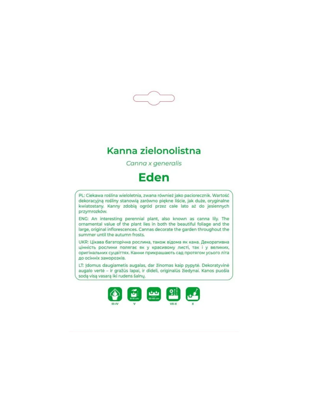 Kanna Eden różowa 1szt.