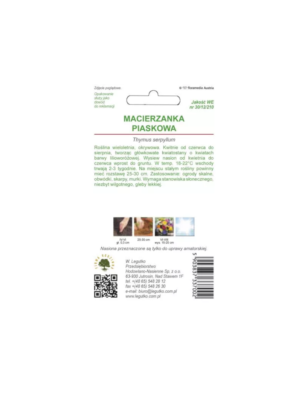 Macierzanka piaskowa - lilaróżowa