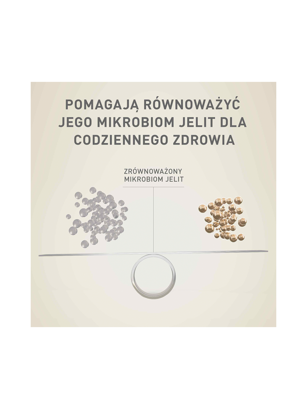 PURINA ONE Adult Mini/Small Karma dla dorosłych psów 26x85g