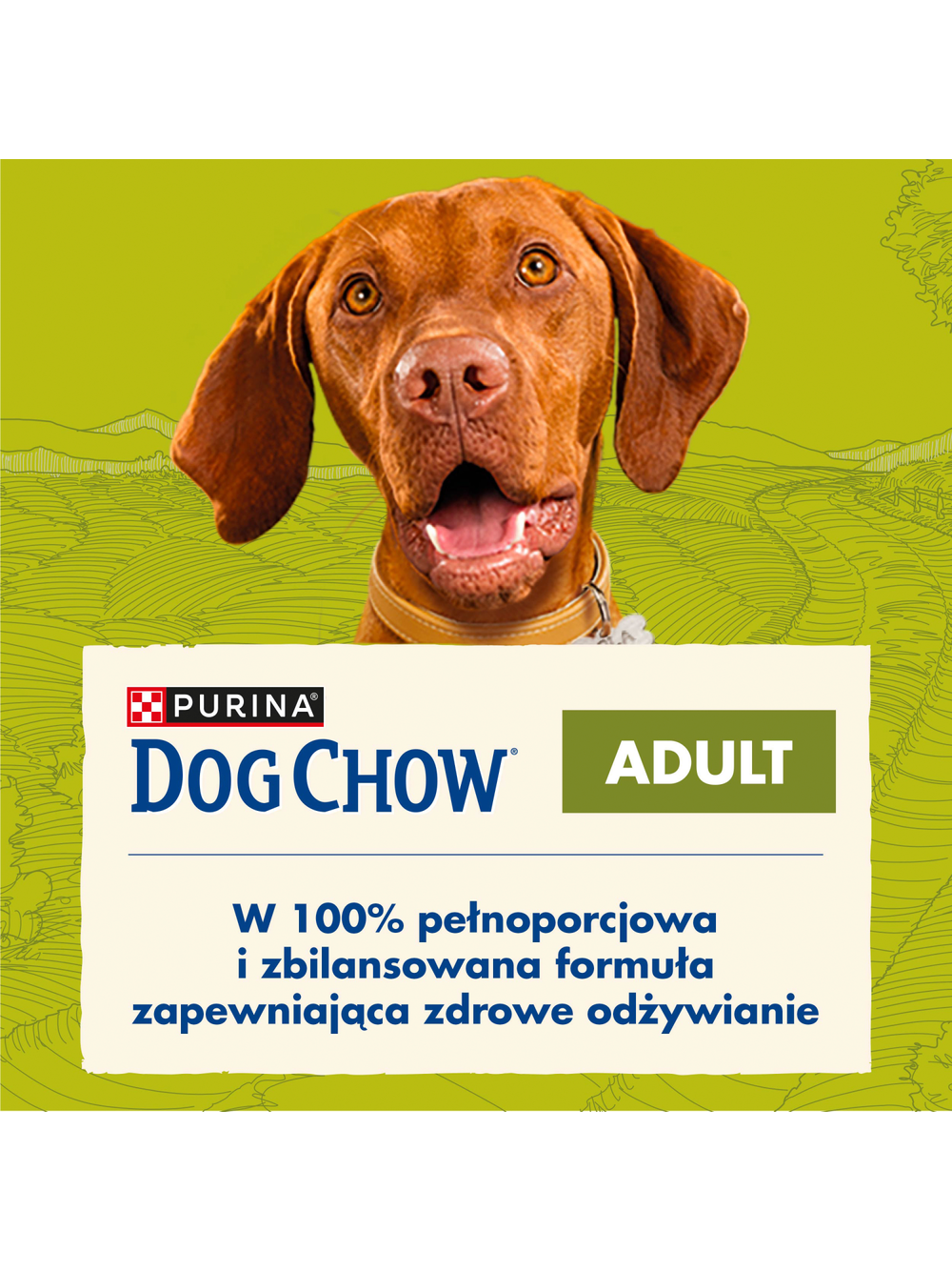 PURINA Dog Chow Adult Lamb 2,5kg