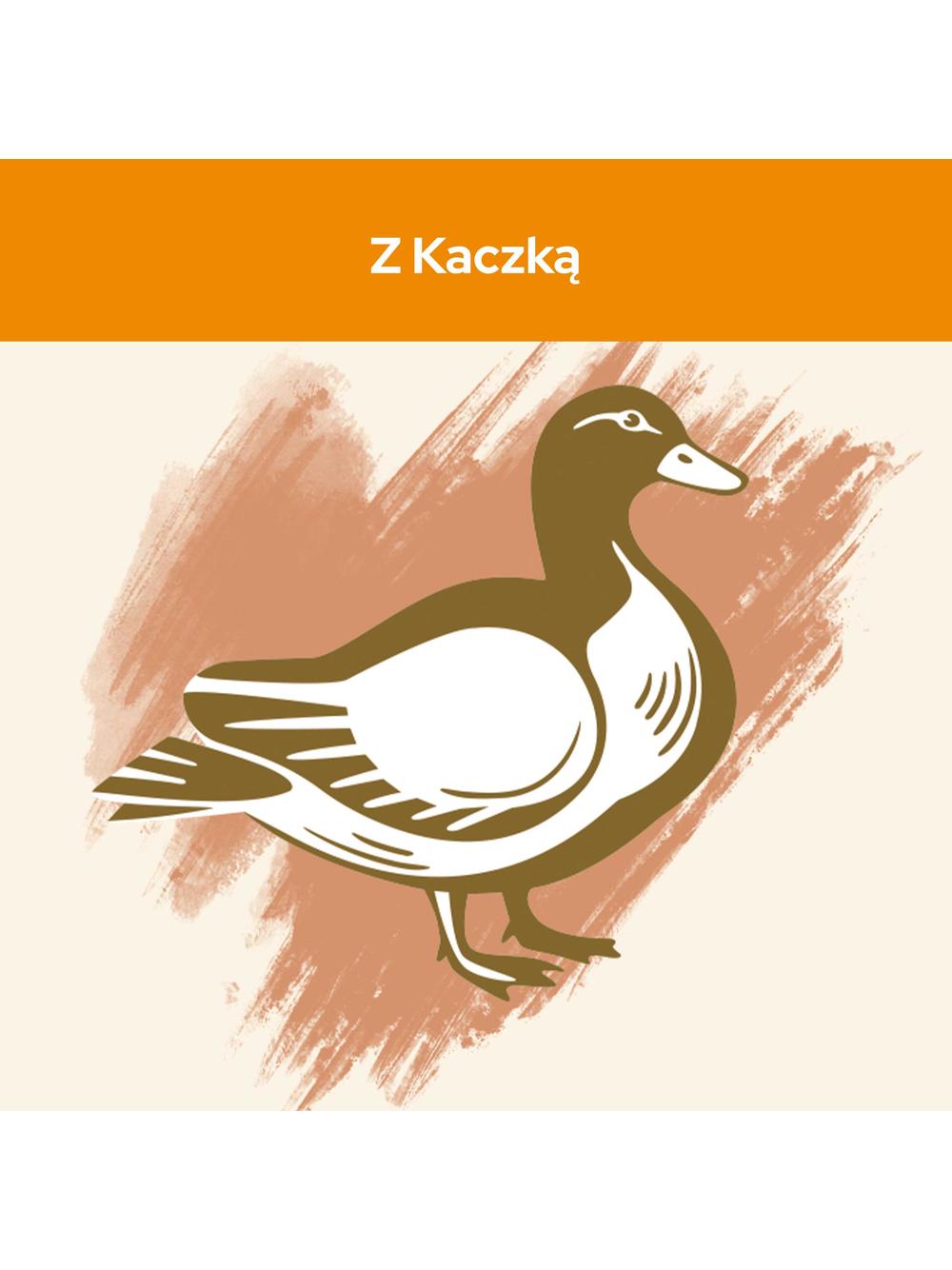 PURINA Cat Chow Adult Duck Karma z kaczką 15kg
