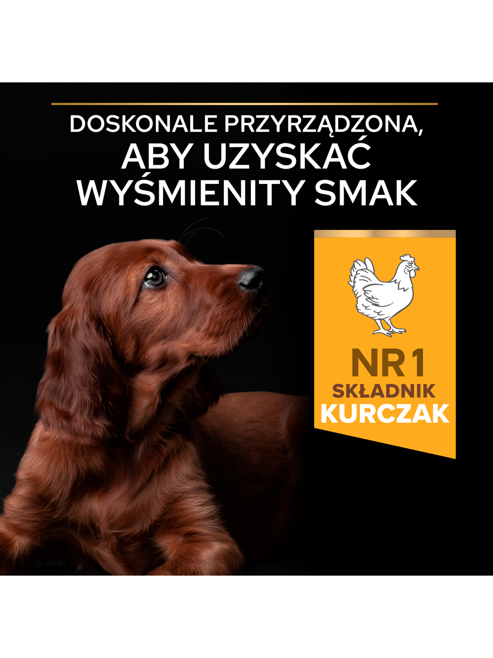 Purina Pro Plan Large Puppy Athletic Optistart, kurczak i ryż 12kg