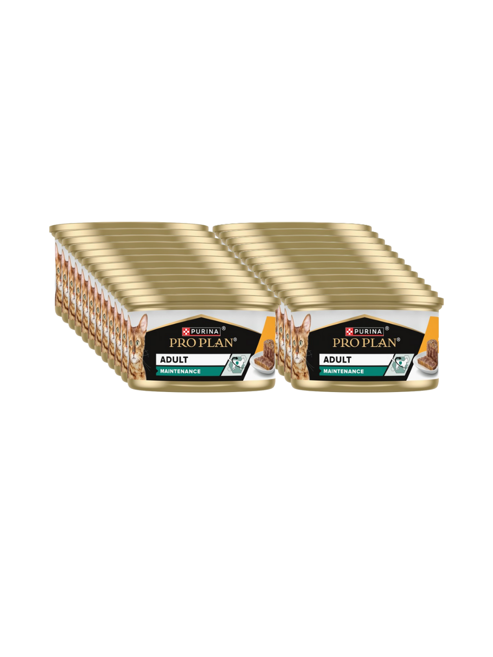 PRO PLAN Adult Wilgotny pasztet z kurczakiem Mokra karma dla kota 24x85g