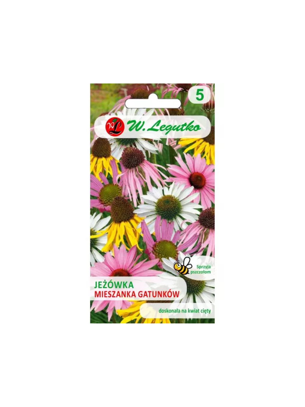 Jeżówka - mieszanka gatunków