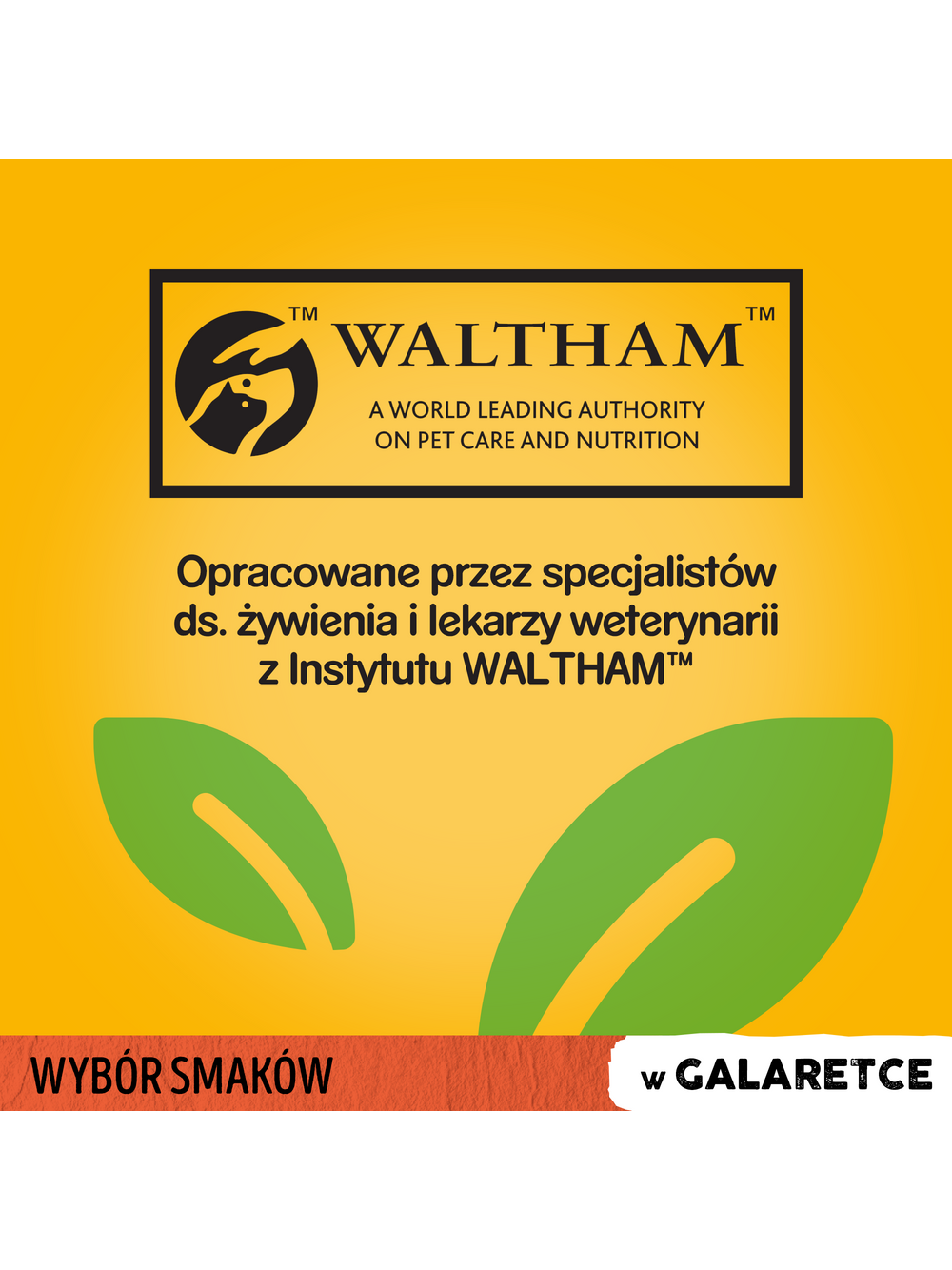 PEDIGREE Adult saszetka 12x100 g - Wybór Smaków w Galaretce, mokra karma pełnoporcjowa w galaretce dla dorosłych psów (kawałki bogate w mieszankę wołowiny i wątróbki, bogate w kurczaka, bogate w mieszankę jagnięciny i wątróbki oraz bogate w drób)