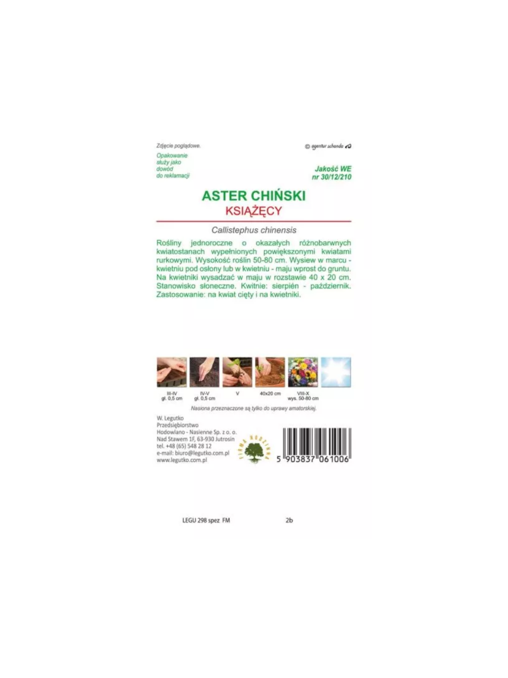 Aster chiński książęcy mieszankaAster chiński książęcy mieszanka