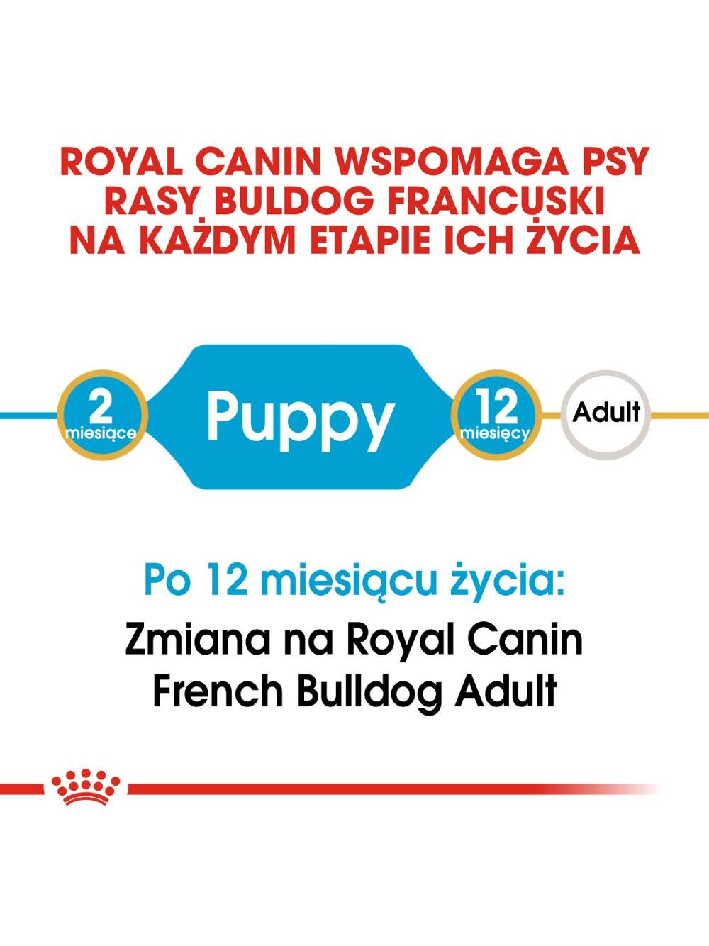ROYAL CANIN French Bulldog Puppy 10kg karma sucha dla szczeniąt do 12 miesiąca, rasy bulldog francuski