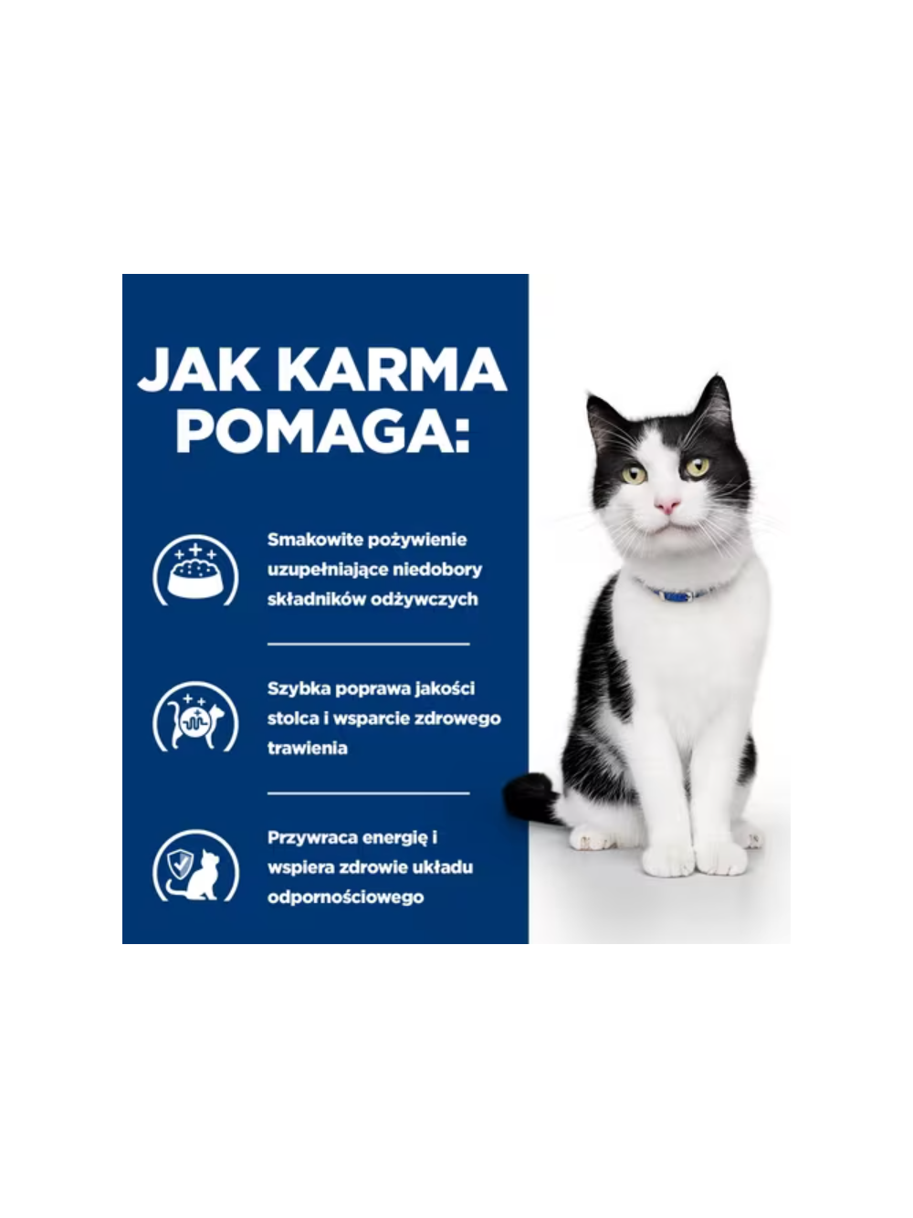 HILL'S PD Prescription Diet Feline i/d 85g z kurczakiem - saszetka