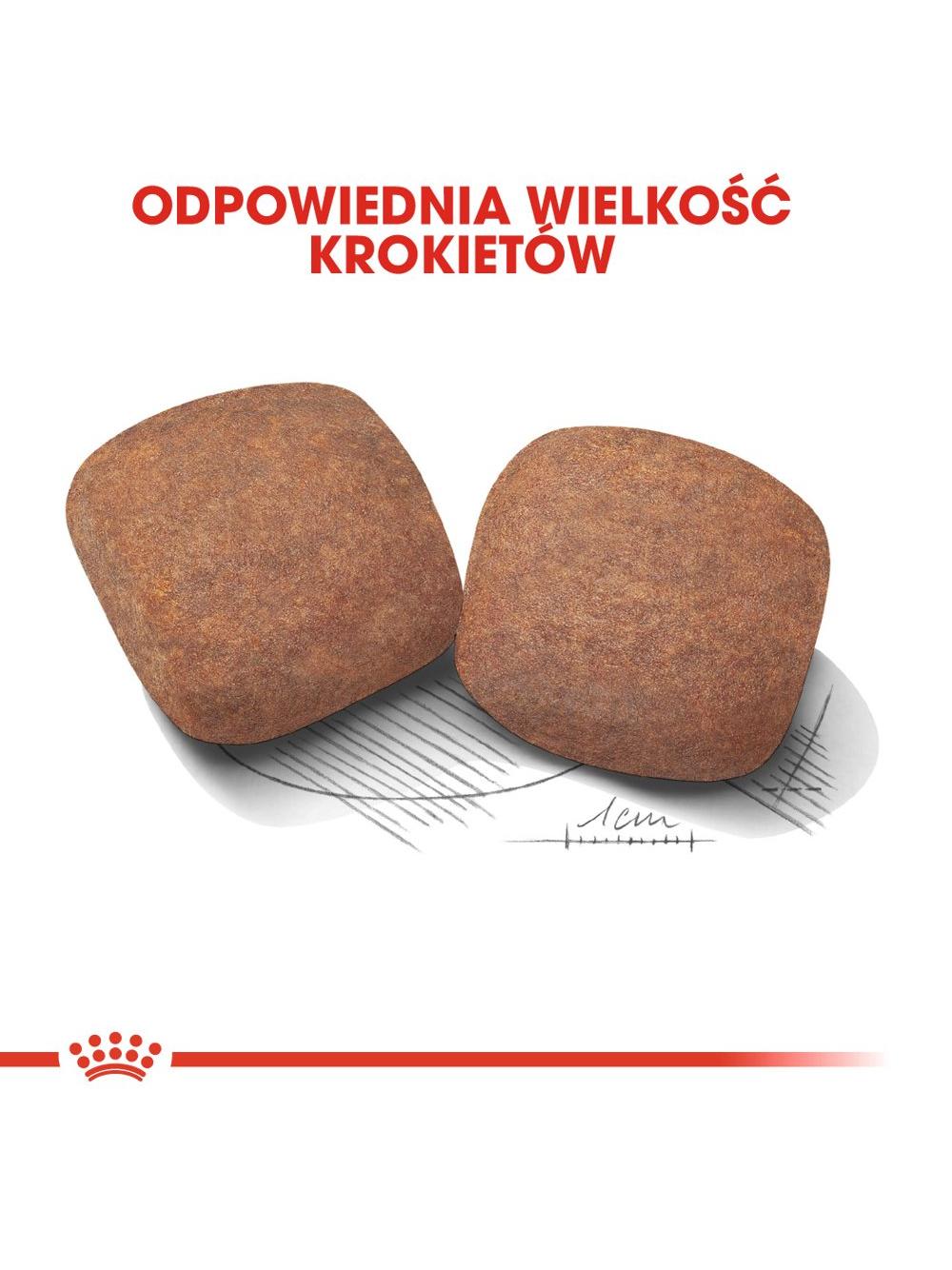 ROYAL CANIN Giant Adult 15kg karma sucha dla psów dorosłych, od 18/24 miesiąca życia, ras olbrzymich +  niespodzianka dla psa GRATIS!