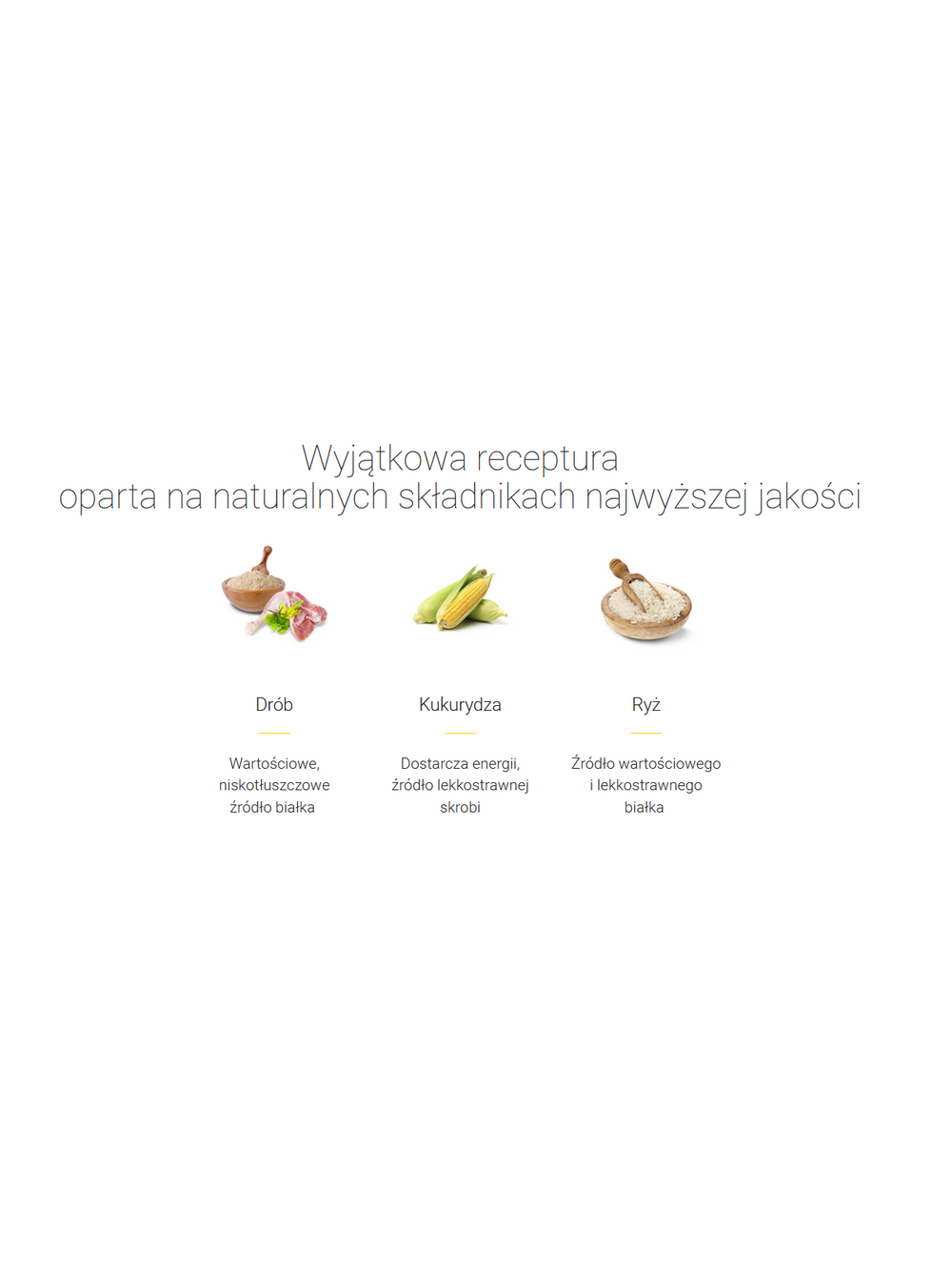 JOSERA Miniwell 10kg + niespodzianka dla psa GRATIS!
