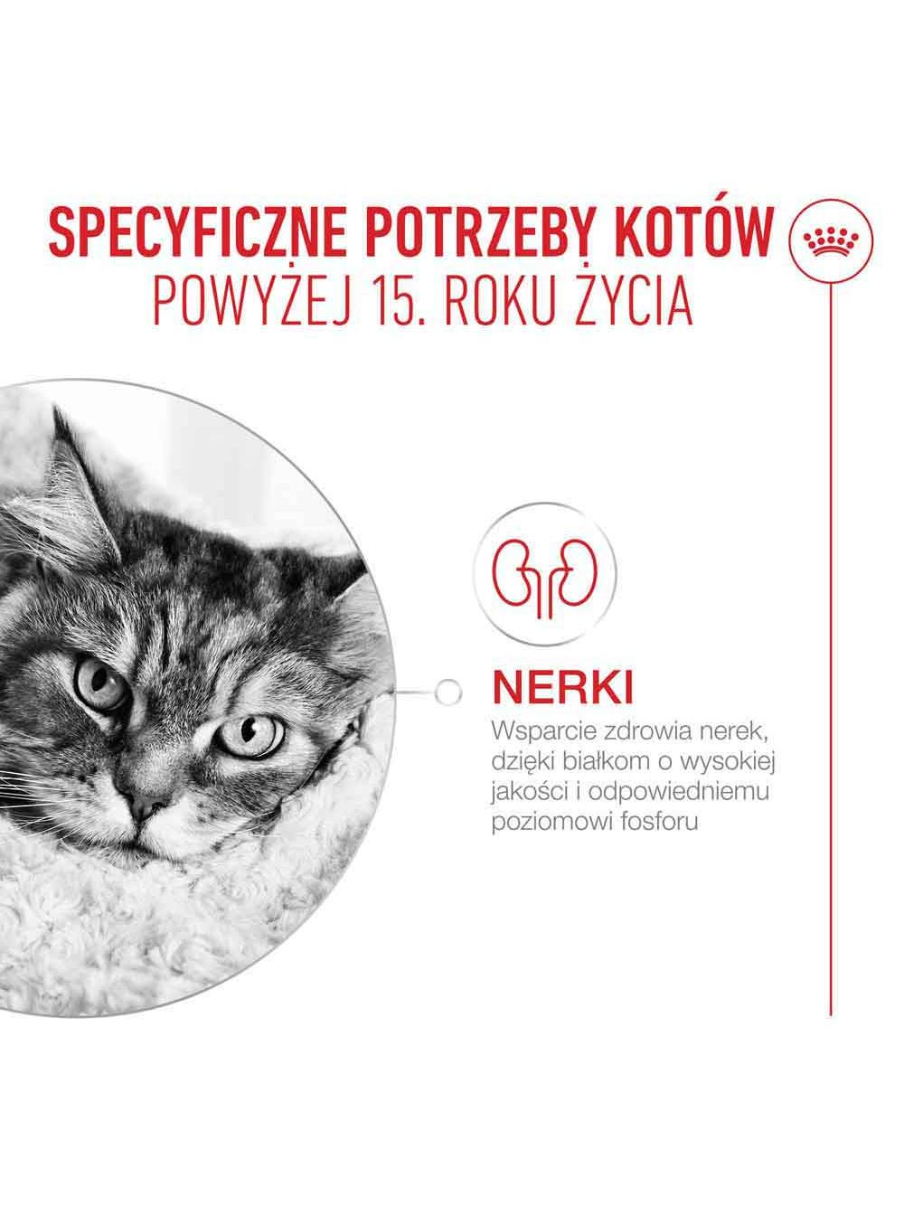 ROYAL CANIN mokra karma dla kotów, Senior Ageing 15+,can 85 g