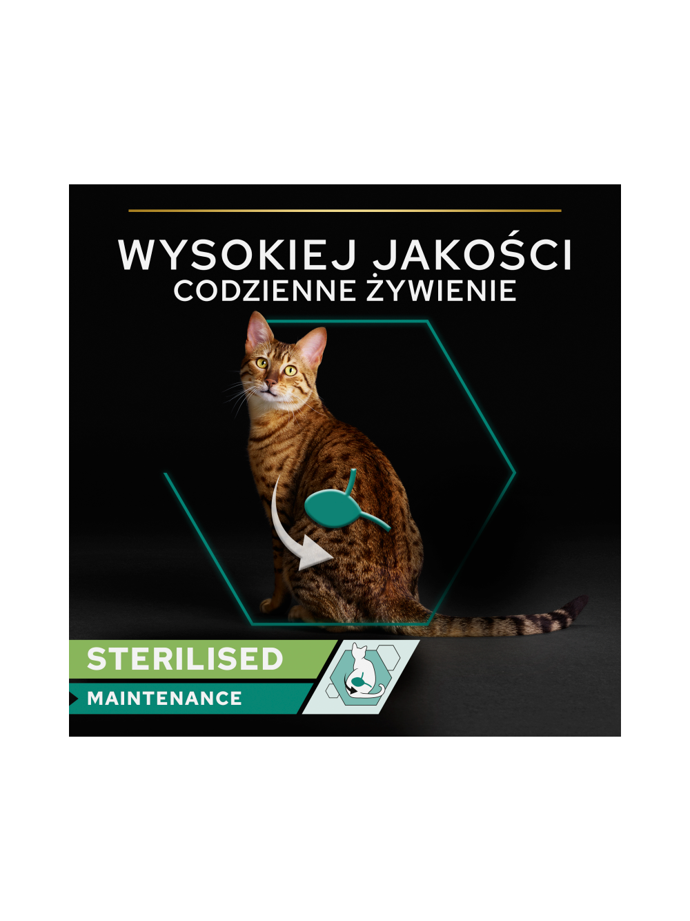 PRO PLAN Sterilised Wilgotny pasztet z łososiem i tuńczykiem Mokra karma dla kota 85g