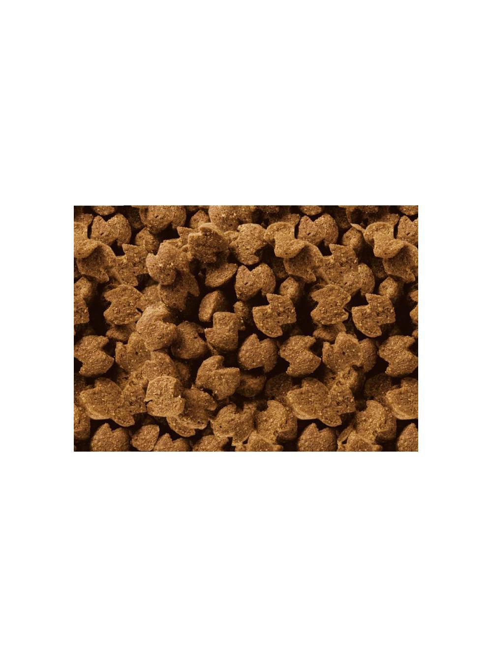 Eukanuba adult boxer 12kg + niespodzianka dla psa GRATIS!