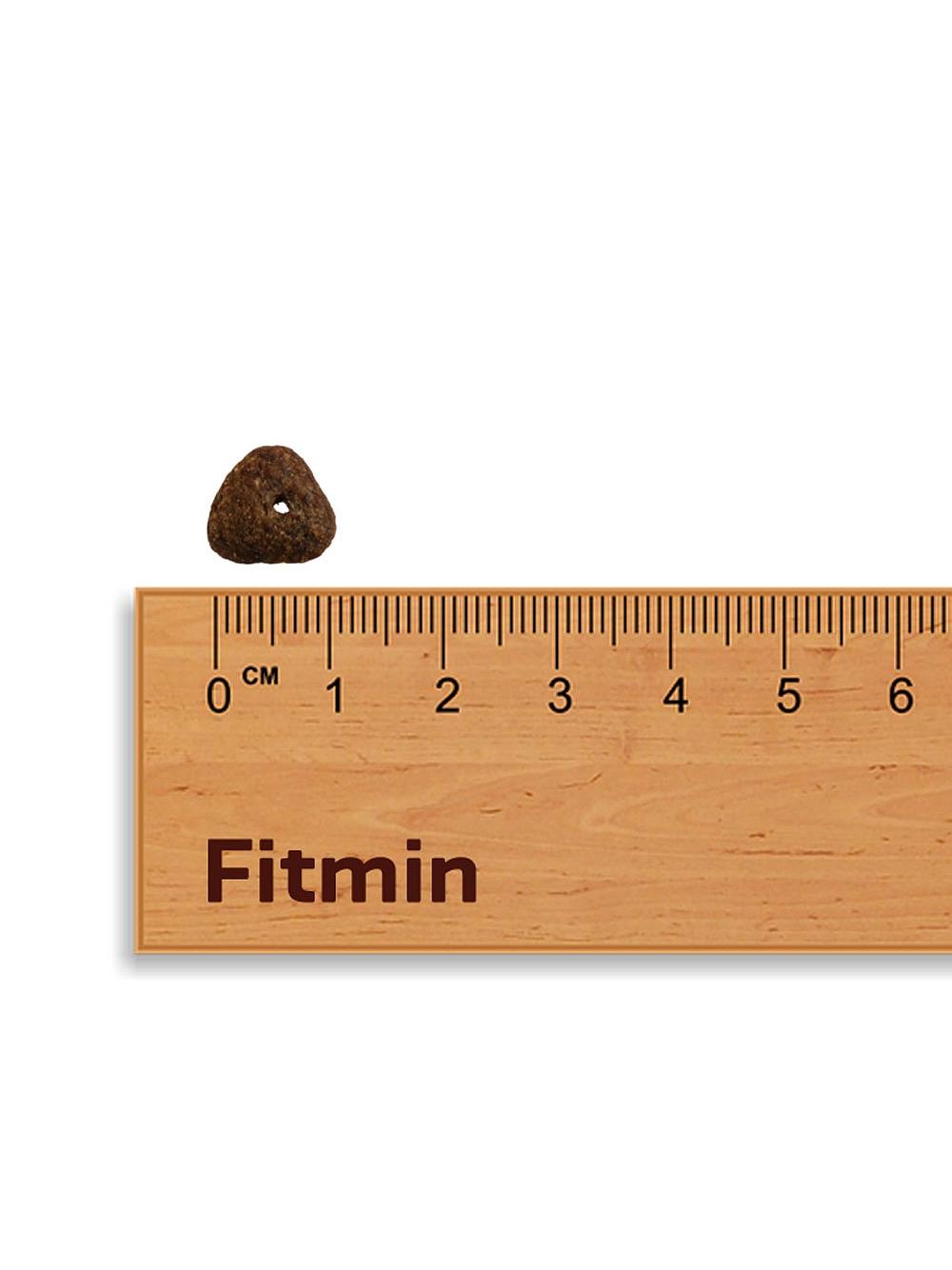 FITMIN Mini Light 2,5kg