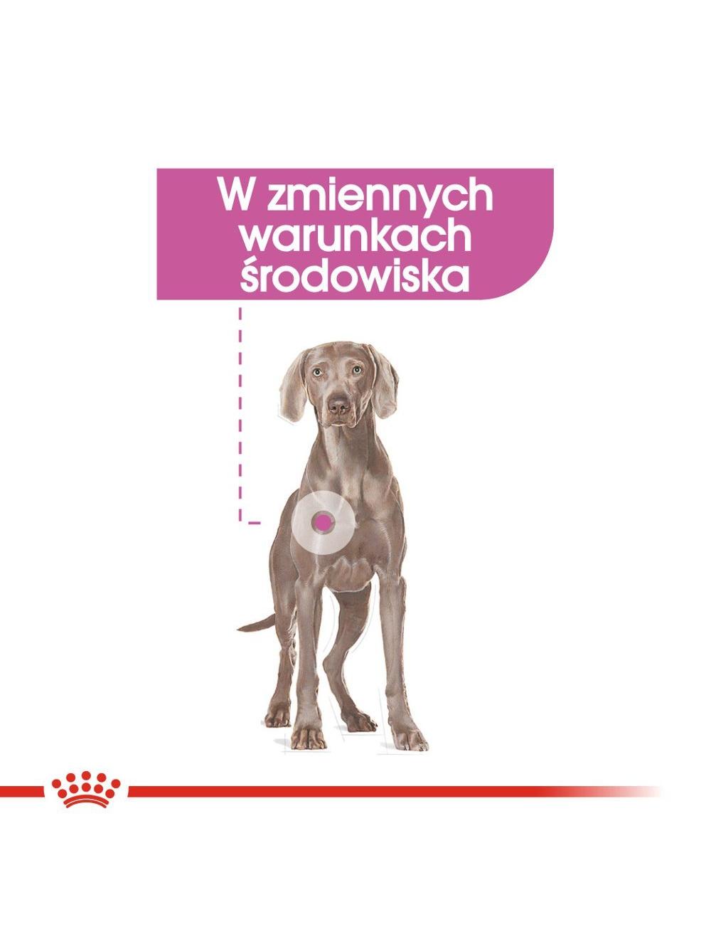 ROYAL CANIN CCN Maxi Relax Care 9kg + niespodzianka dla psa GRATIS!