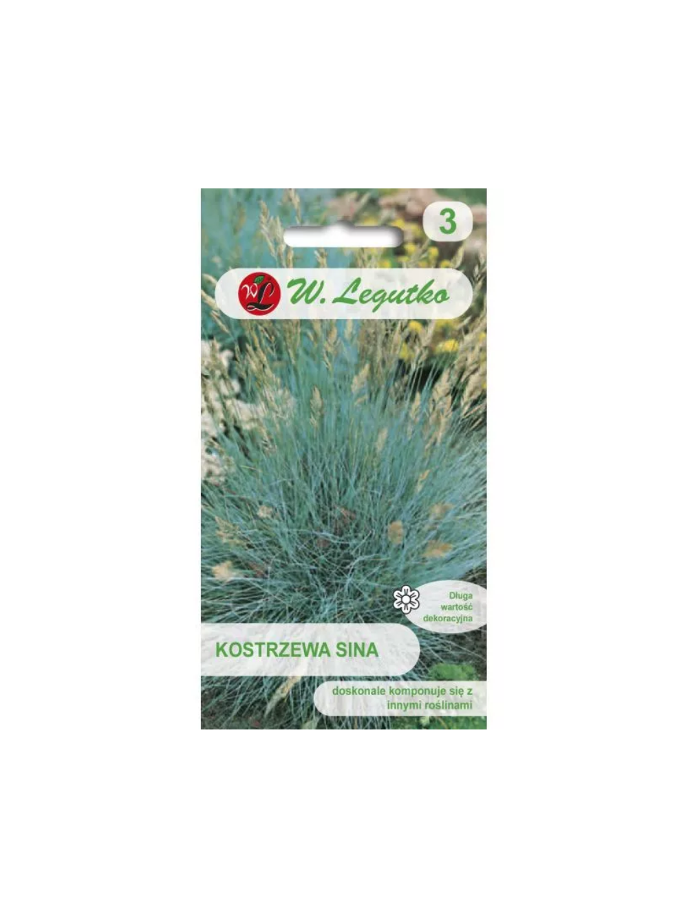 Kostrzewa sina - srebrnoniebieska