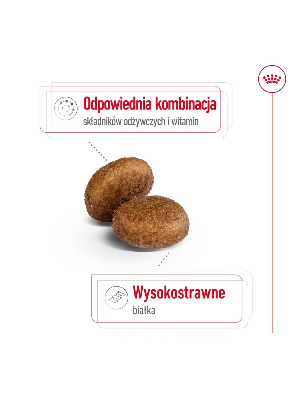 ROYAL CANIN Maxi Adult 5+ 15kg karma sucha dla psów starszych, od 5 do 8 roku życia, ras dużych / Opakowanie uszkodzone (8768,8995)!!!