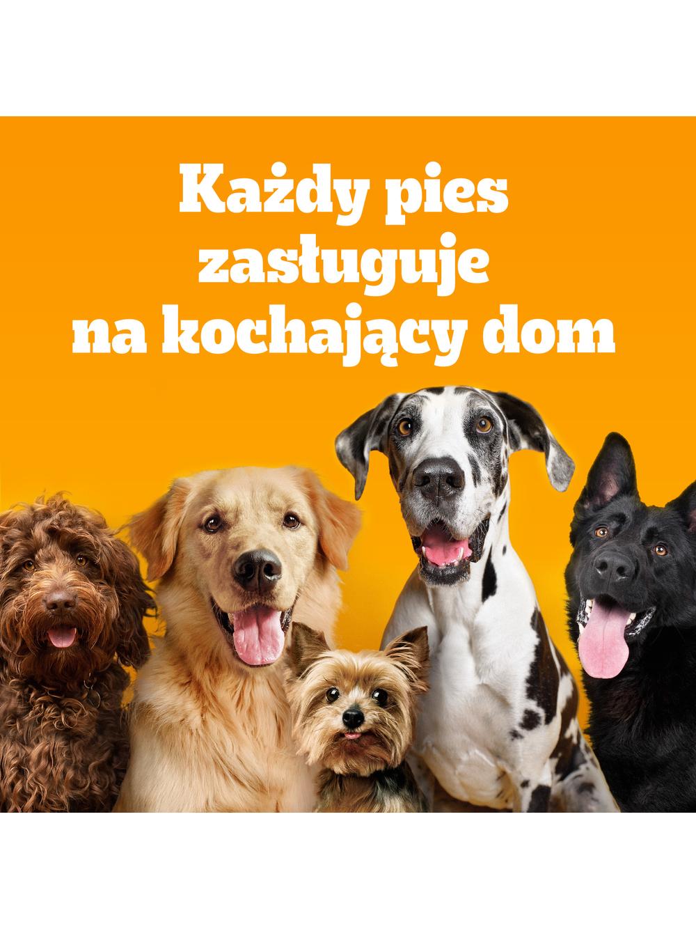 PEDIGREE® Adult 2,6 kg z wołowiną i warzywami - sucha karma pełnoporcjowa dla dorosłych psów dużych i średnich ras/Opakowanie uszkodzone (8329)!!!