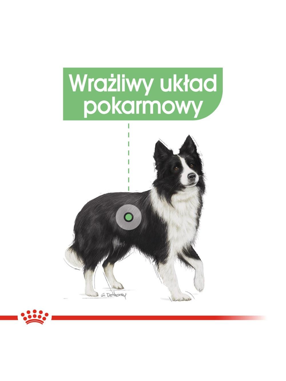 ROYAL CANIN CCN Medium Digestive Care 3kg karma sucha dla psów dorosłych, ras średnich o wrażliwym przewodzie pokarmowym + NIESPODZIANKA DLA PSA GRATIS!!