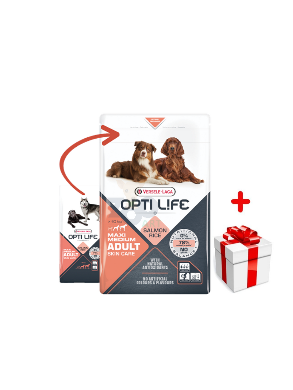 VERSELE-LAGA Opti Life Adult Skin Care Medium&Maxi 12,5kg + niespodzianka dla psa GRATIS!