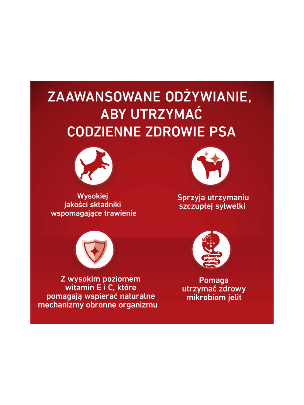 PURINA ONE Weight Control/Sterilized Medium/Maxi Karma dla psów bogata w indyka z ryżem 4x2,5 kg