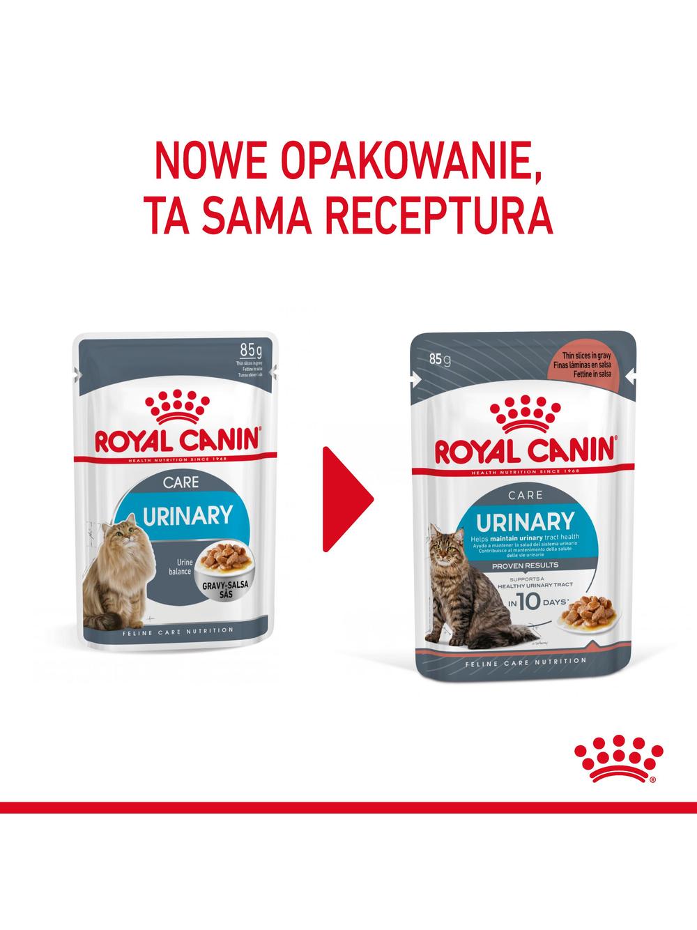 ROYAL CANIN Urinary Care karma mokra plasterki w sosie dla kotów dorosłych, wspierająca zdrowie dróg moczowych 12x85 g