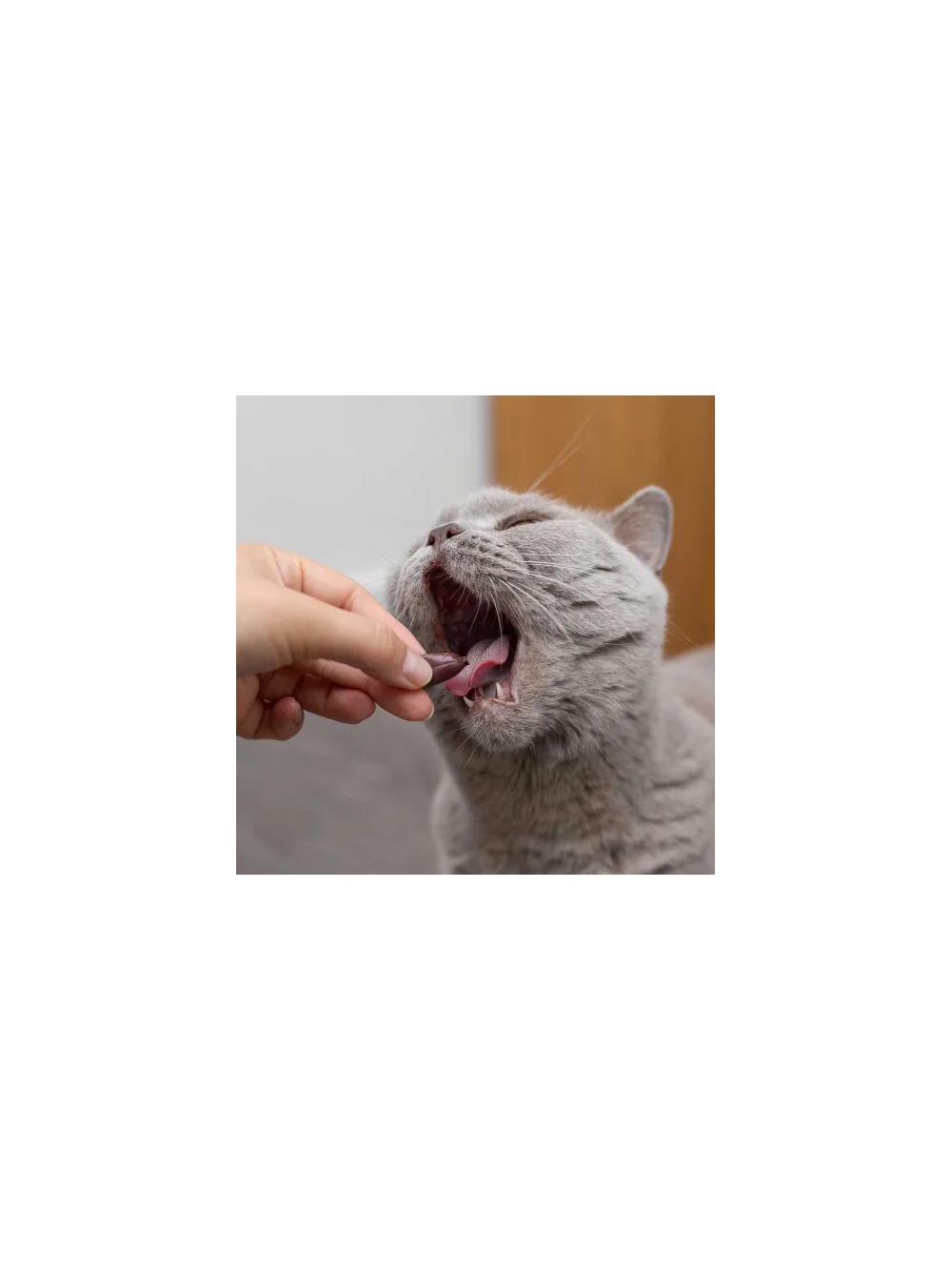 VETEXPERT Hepatiale Forte Small Breed & Cats 40 kaps.