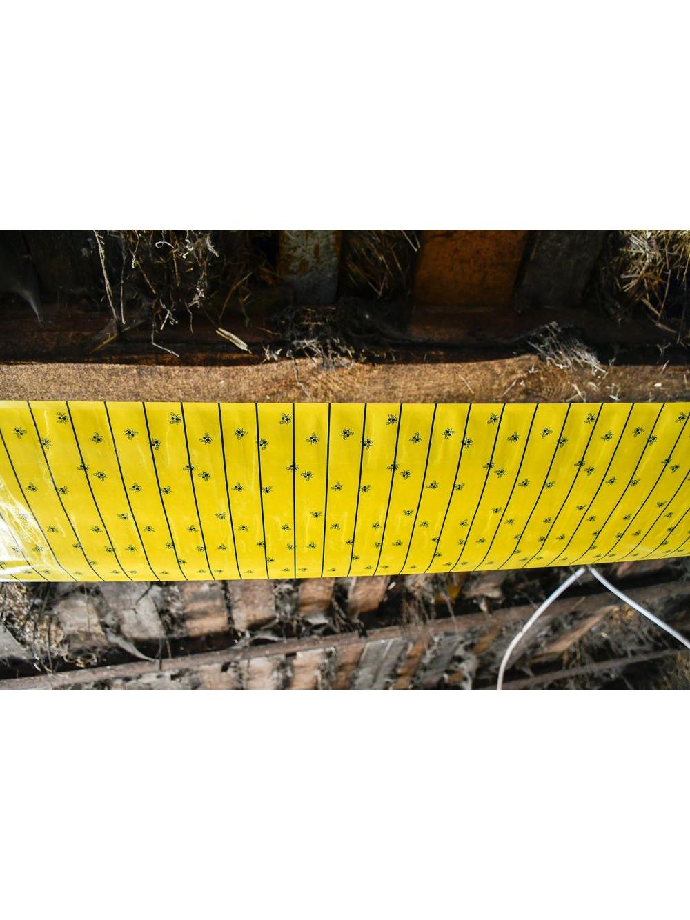 Kerbl Lep na muchy w rolce, 30 cm x 7 m