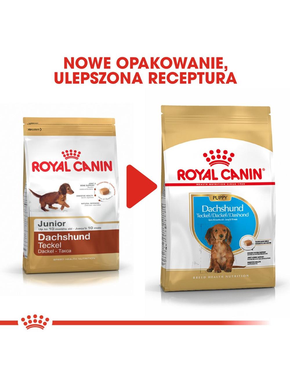 ROYAL CANIN Dachshund Puppy 1,5kg karma sucha dla szczeniąt do 10 miesiąca, rasy jamnik