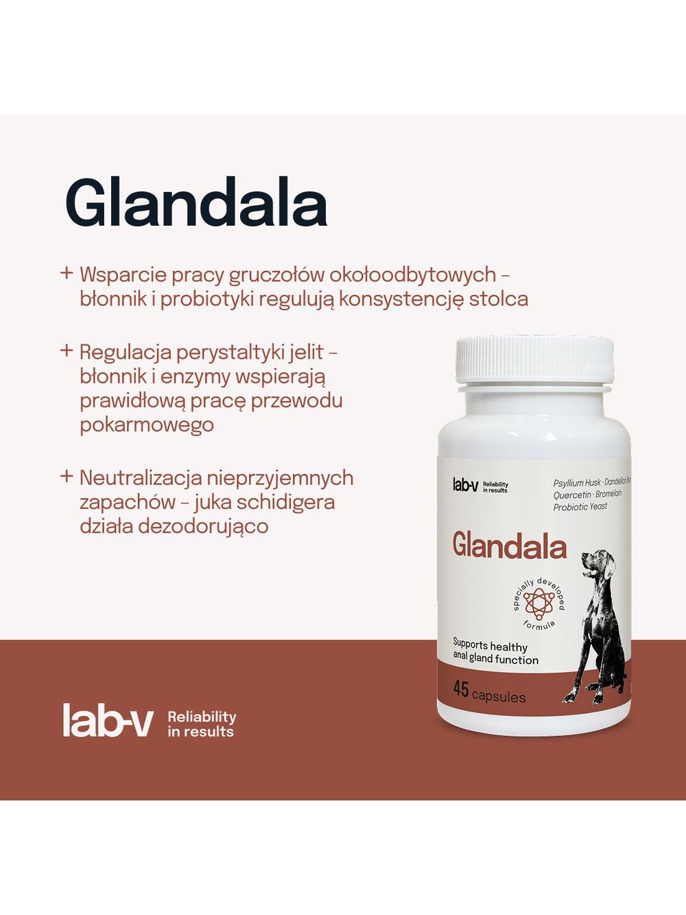 Lab-v Glandala - Wsparcie prawidłowego funkcjonowania gruczołów okołoodbytowych i przewodu pokarmowego dla psów 45 kapsułek