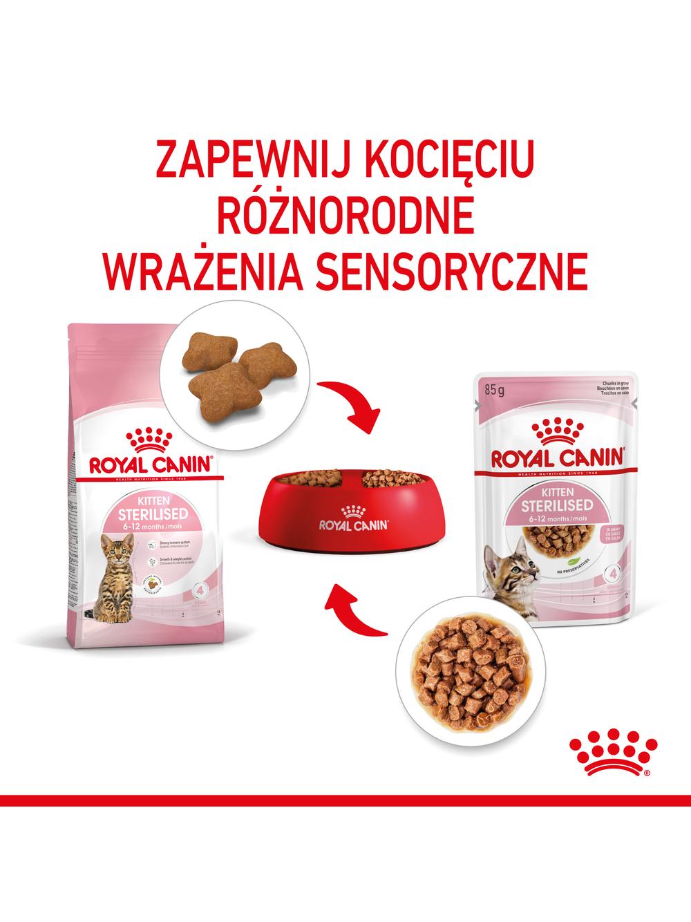ROYAL CANIN Kitten Sterilised 12x85g karma mokra w sosie dla kociąt do 12 miesiąca życia, sterylizowanych