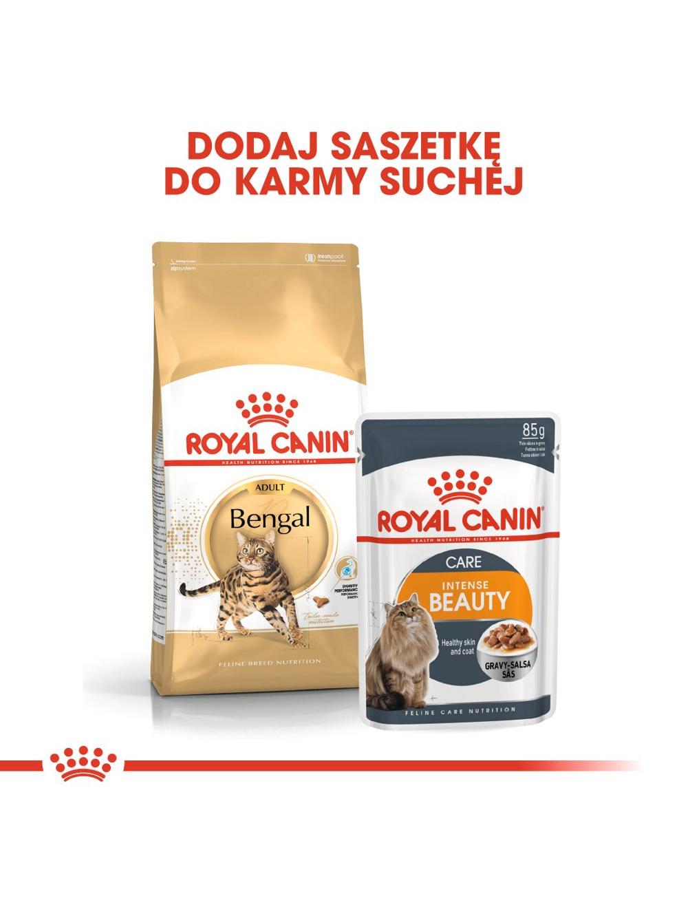 ROYAL CANIN Bengal Adult 10kg karma sucha dla kotów dorosłych rasy bengal + Royal Canin piłka dla kota GRATIS!!!