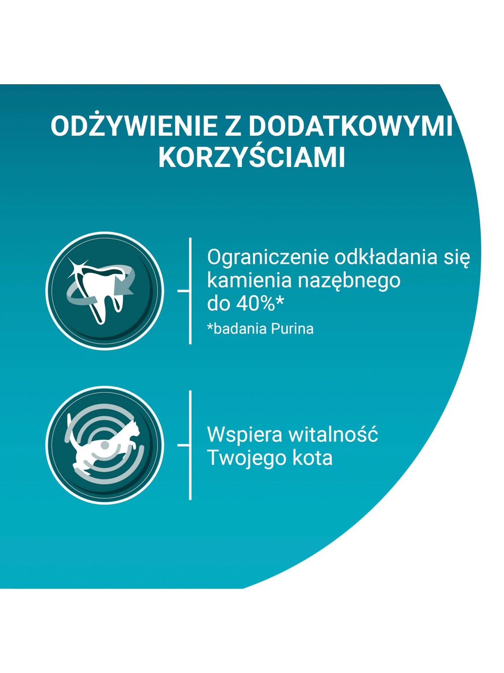 Purina One Cat Adult Karma z wołowiną dla kota 750g